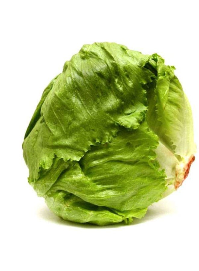 Lettuce Ice Berg Crispiano Vegetable Seeds