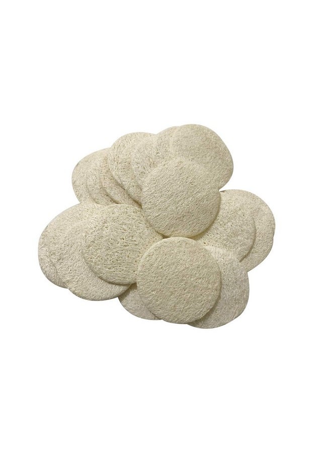 Nuonove 36 Loofah Loofa Facial Complexion Skin Discs Pads (Set Of 6 Bags, Each Bag Has 6 Disks)  - Image 2