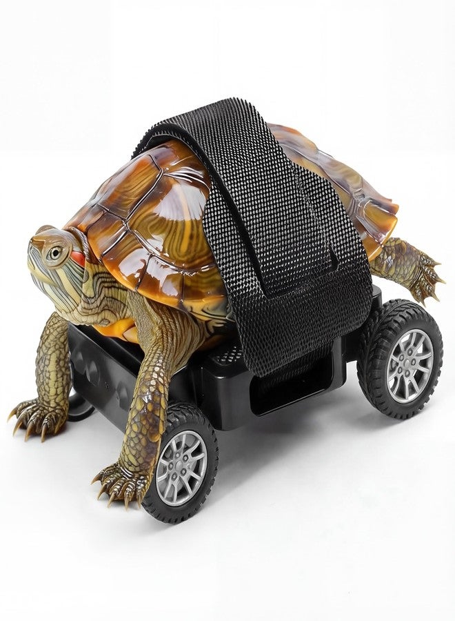 LetPetRun Adjustable Turtle Skateboard Playing and Training Toys Set, Full Wheel Stable Support Velcro Fixing Design, Toy for Small Reptiles & Pets (S) - Image 1