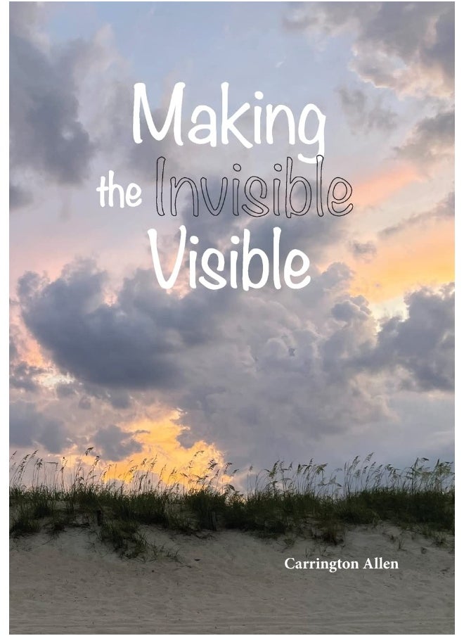 Making the Invisible Visible  - Image 1