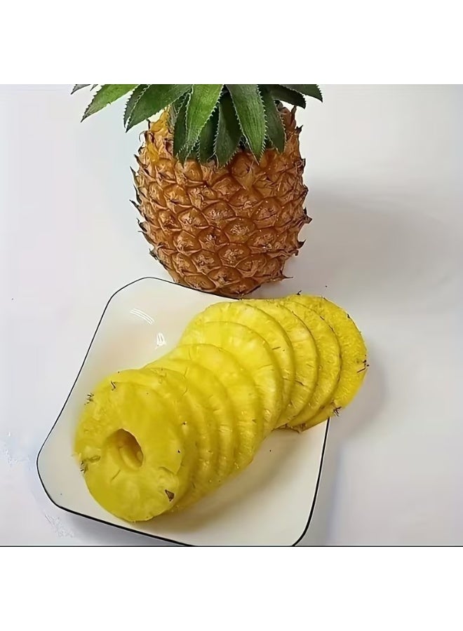 Goolsky 1pc Stainless Steel Pineapple Peeler & Corer - Effortless Core, Slice & Cut with Ergonomic Handle, Durable Kitchen Tool for Fresh Pineapple Prep, Easy-Clean Design for Home & Commercial Use, Pineapple Slicer, Food Preparation, Sleek Metallic Finish, Easyclean Material, Kitchen Accessorie, Kitchen Accessory, Mirabelle Stone Remover, Cherry Stone Remover, Cherry Pit Remover, Plum Stone Remover, Dry Lownica For Cherries And Plums, Fruit Stone Remover, Kitchen Gadget - Image 4