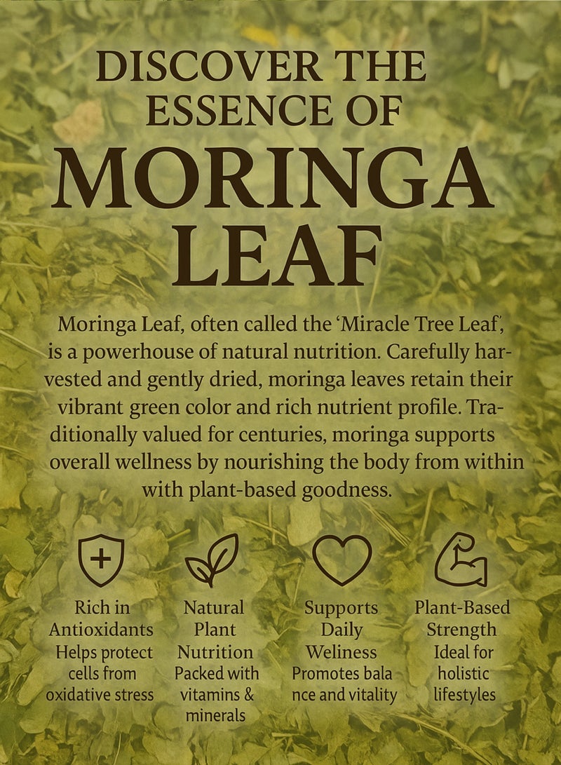 Zahr Moringa Leaf Dried – 100% Natural & Organic Plant Growth Booster, High-Grade Hand-Sorted Botanical Moringa / Drumstick Tree Leaf / Moringa Oleifera for Gardening, Rich in Nutrients for Soil & Plant Health - Image 4
