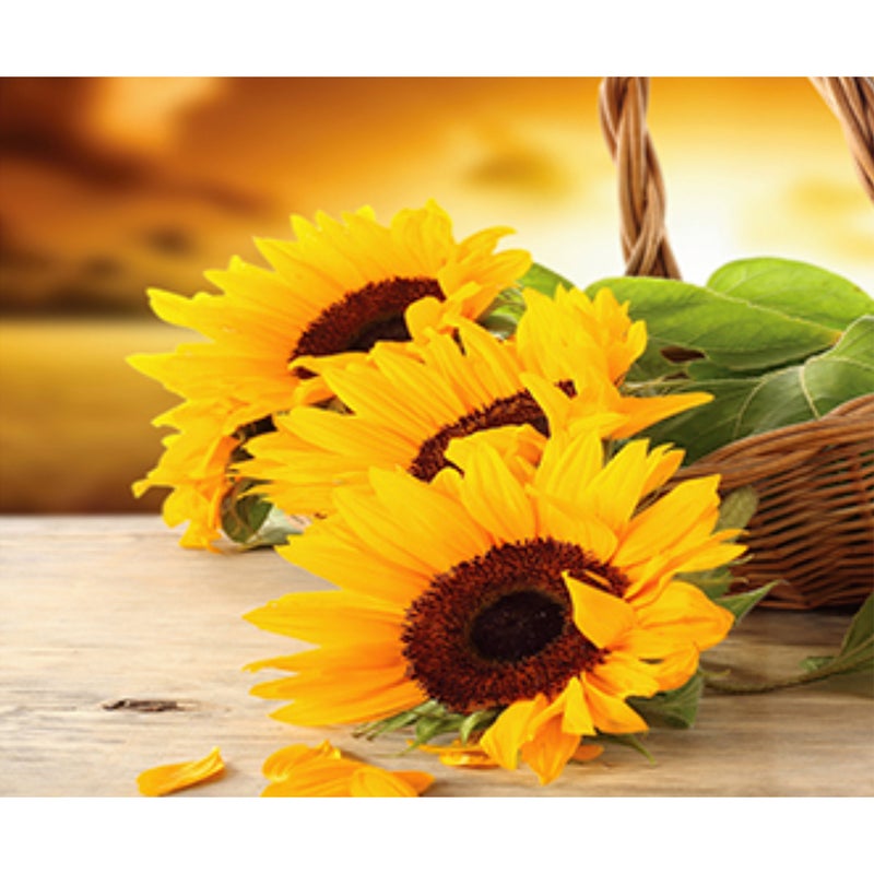 2pcs 3 in 1 Sunflower Pattern Bathroom Pads Set Non- Washroom Carpets Mat Toilet Seat Lid Cover for Home Hotel - Image 3