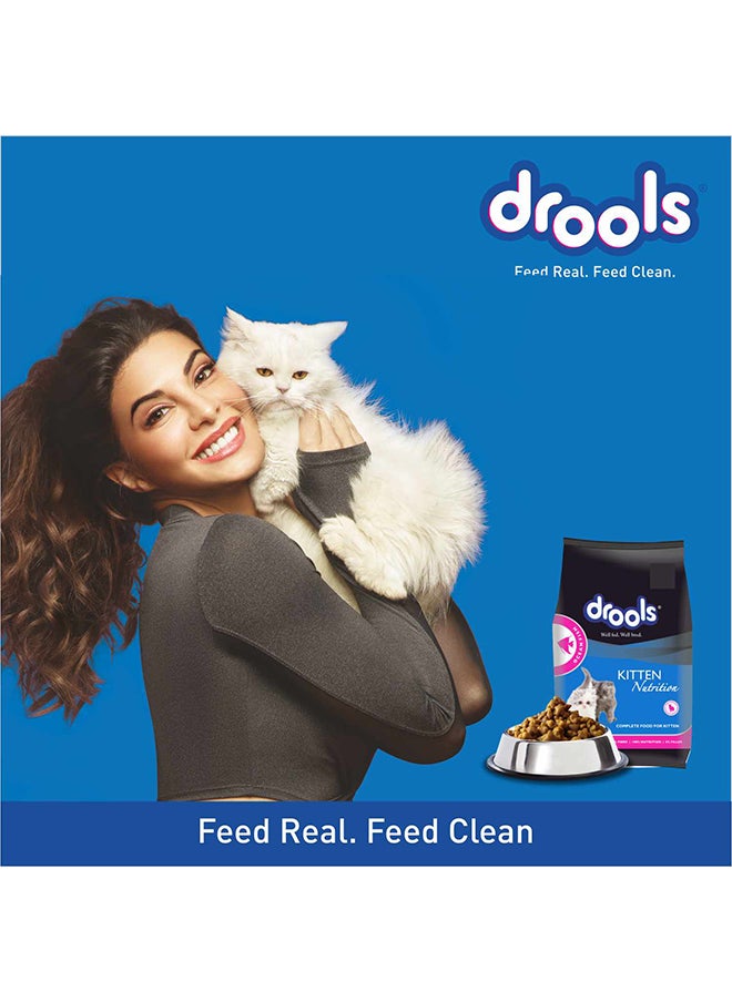 Kitten 1 To 12 Months Dry Cat Food Ocean Fish Multicolour 400grams