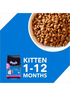 Kitten 1 To 12 Months Dry Cat Food Ocean Fish Multicolour 400 - pzsku/Z4519811F39B63C6BAB5EZ/45/_/1695734333/ef60d0d4-ace8-4f74-b19b-140e024abd33