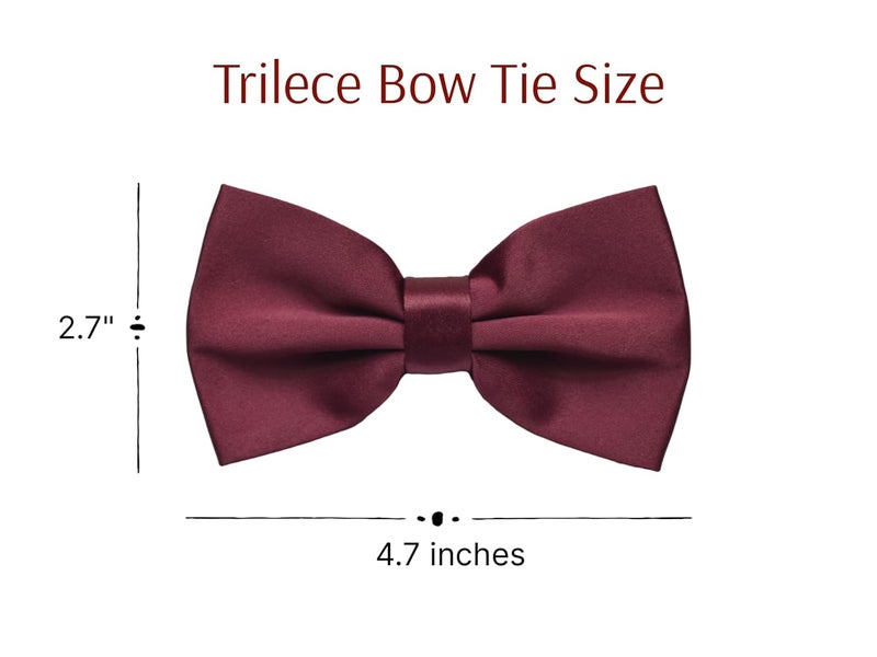 Trilece ربطات عنق تريليس للرجال - ربطة عنق مسبقة الربط للرجال للملابس الرسمية - ربطة عنق قابلة للتعديل - ربطة عنق للنساء - Image 2