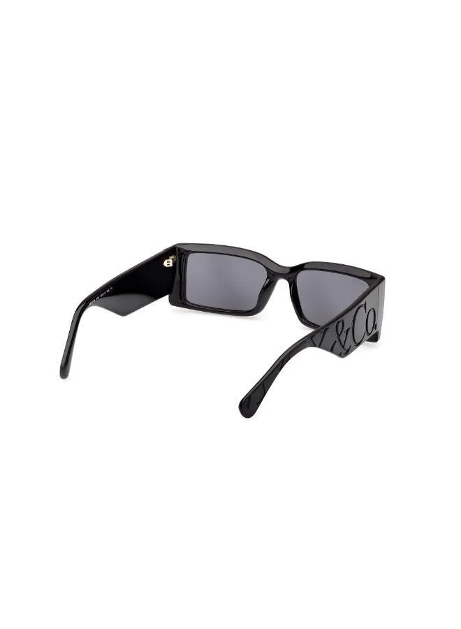 MAXCO  wayfarers sunglasses for Women | Best Price UAE