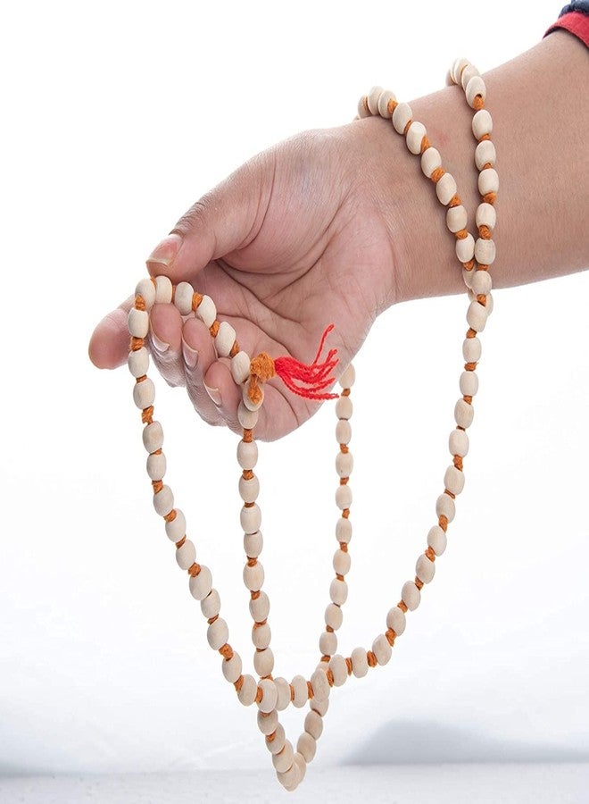 Bhumi Creation Original Certified Rudraksha Mukhi Rudraksha Bead Natural Rudra Religious Rosary Bead (Pack of 1) - Image 2