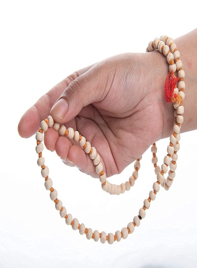 Bhumi Creation Original Certified Rudraksha Mukhi Rudraksha Bead Natural Rudra Religious Rosary Bead (Pack of 1) - Image 4