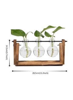 ORiTi Hyindoor Plant Terrarium with Vintage Wooden Stand and Metal Rotating Rod for Hydroponics Propagation Station  - Image 4