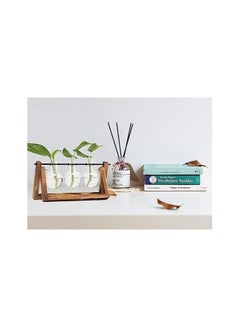 ORiTi Hyindoor Plant Terrarium with Vintage Wooden Stand and Metal Rotating Rod for Hydroponics Propagation Station  - Image 2