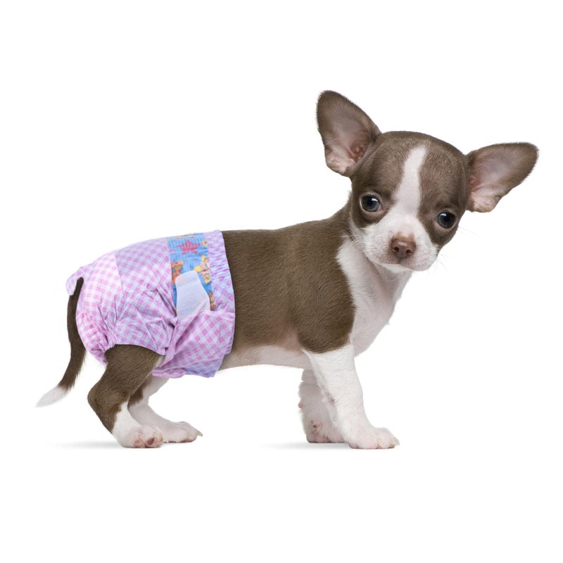 Flying Paws Disposable Female Dog Diapers, Puppy Diapers with Adjustable Elastic Waistline for Female Dog or Cat in Heat,Incontinence, Diaper with Wetness Indicator, XXS-10 Count - Image 1