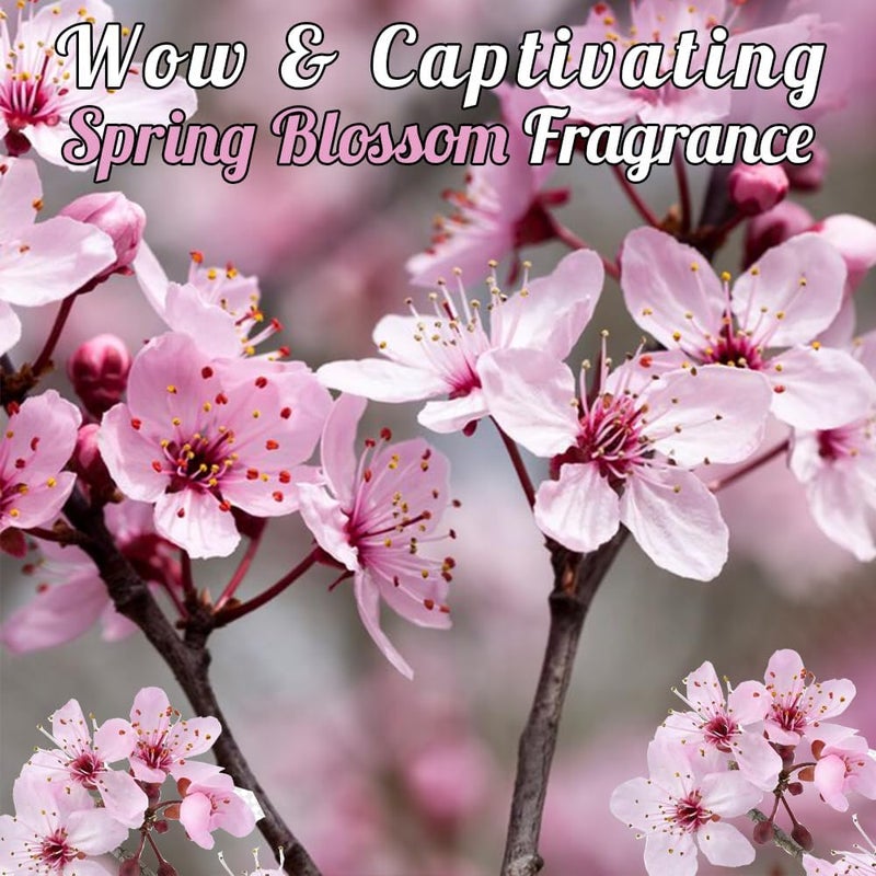 ECOLYTE+ Ecolyte Spring Blossom Hand Soap - 5L - Image 4