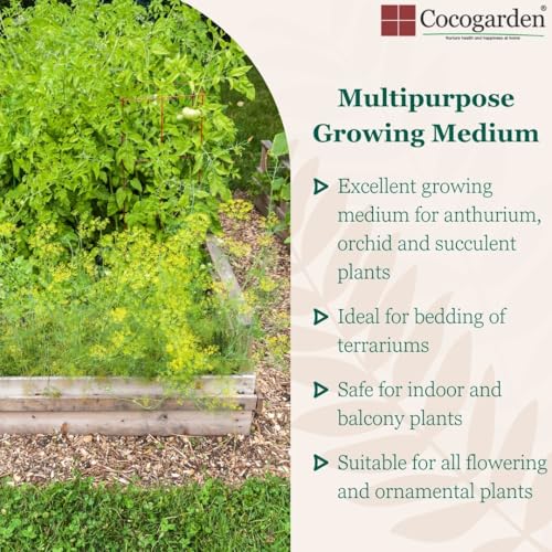 Cocogarden Coconut Coco Husk Chips (Ready to Use) 1 Kg - Mulching & Potting Mixer | Moisture Retention, Soil Enhancer & Aeration for Plants - Image 3