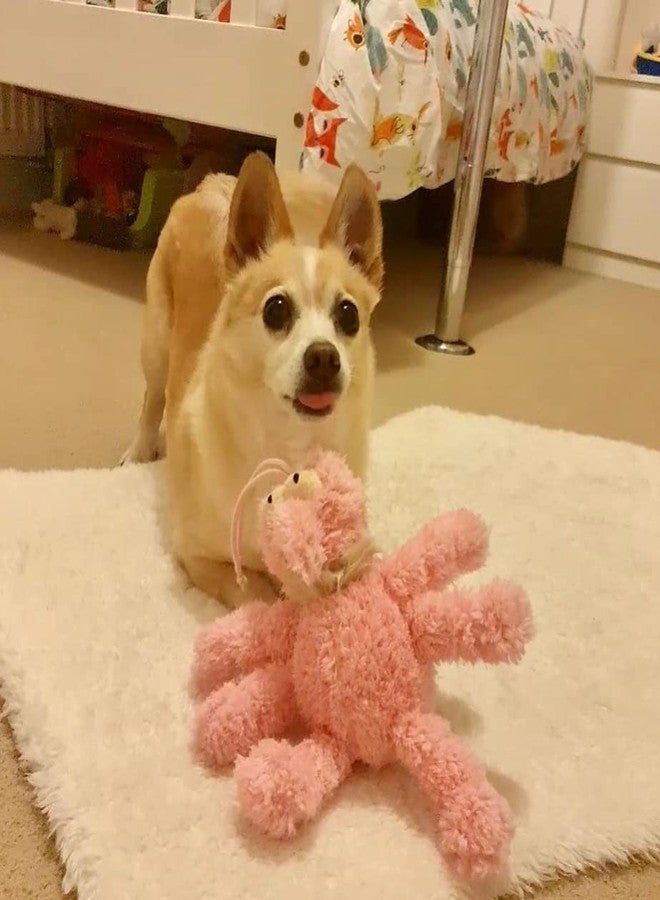 Fuzzyard Neighborhood Nasties Plush Dog Toy (Large, Scratchette The Flea) - Image 5