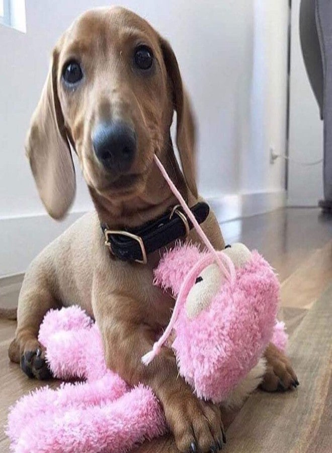 Fuzzyard Neighborhood Nasties Plush Dog Toy (Large, Scratchette The Flea) - Image 4