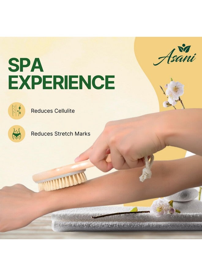 Asani Dry Brushing Body Brush Set For Lymphatic Drainage & Cellulite - 3-Pcs Detachable Back, Contour Body & Face Brushes Organic Gift For Dry Skin, Exfoliation, Invigorating Showers - Image 4