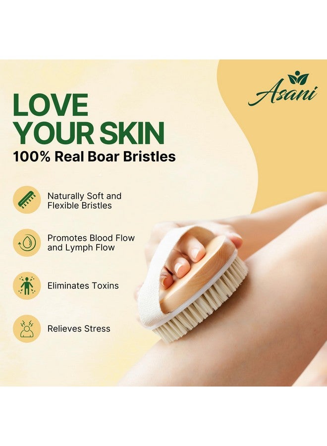 Asani Dry Brushing Body Brush Set For Lymphatic Drainage & Cellulite - 3-Pcs Detachable Back, Contour Body & Face Brushes Organic Gift For Dry Skin, Exfoliation, Invigorating Showers - Image 2