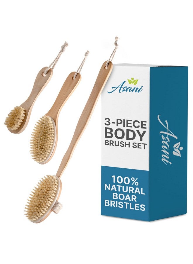 Asani Dry Brushing Body Brush Set For Lymphatic Drainage & Cellulite - 3-Pcs Detachable Back, Contour Body & Face Brushes Organic Gift For Dry Skin, Exfoliation, Invigorating Showers - Image 1