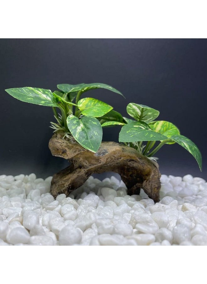 Smoothedo-Pets Fish Tank Decorations Aquarium Decor Ornaments Betta Silk Leaf Pad Hammock Artifical Driftwood Cave Goldfish Bowl Accessories (TypeC)  - Image 5