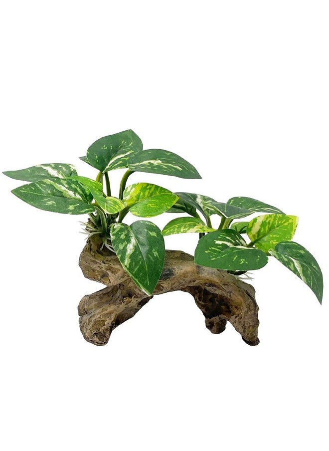Smoothedo-Pets Fish Tank Decorations Aquarium Decor Ornaments Betta Silk Leaf Pad Hammock Artifical Driftwood Cave Goldfish Bowl Accessories (TypeC)  - Image 1