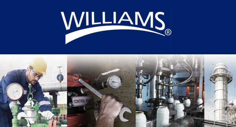 Williams JHWS-52ARK Ratchet Repair Kit for 1/2-Inch Drive Round Head Ratchets - Image 4