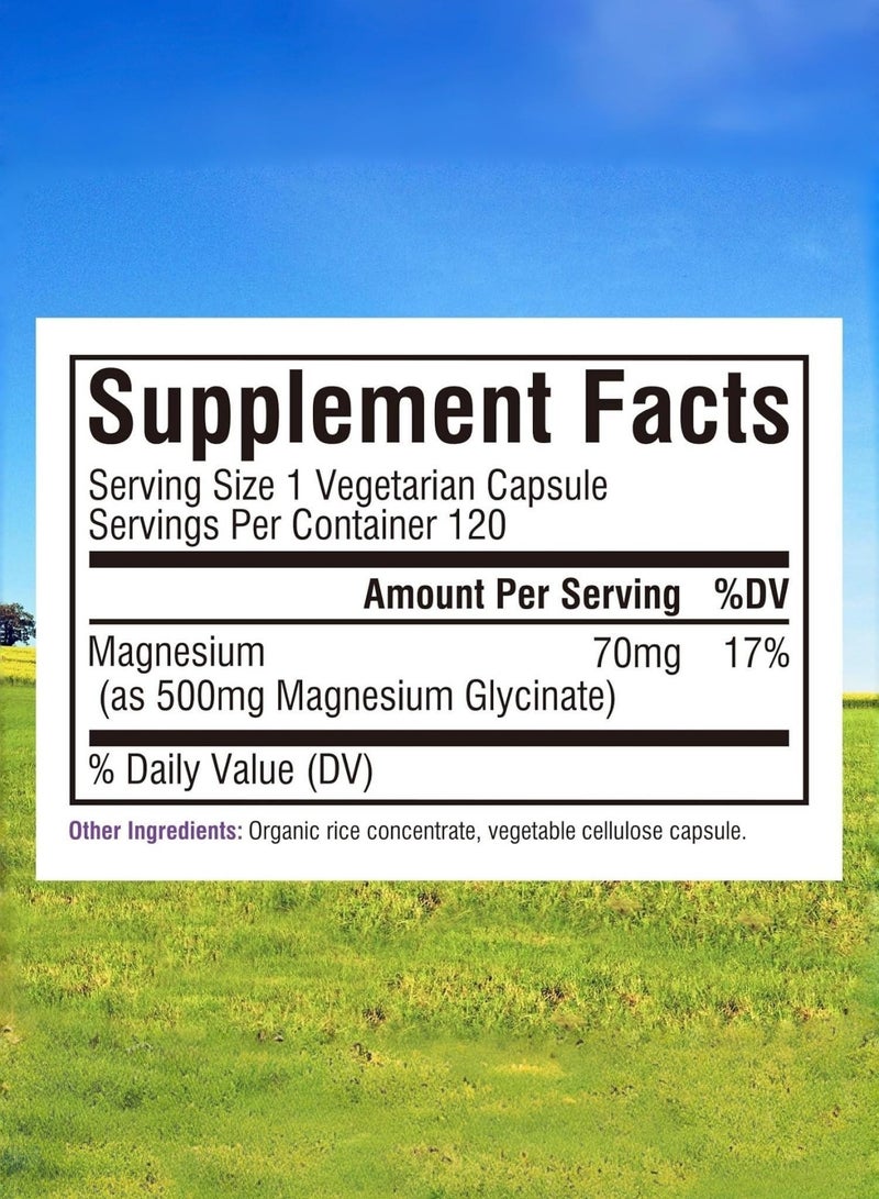 Magnesium Glycinate High Absorption Magnesium Glycinate Capsules 120 Capsules - Image 3