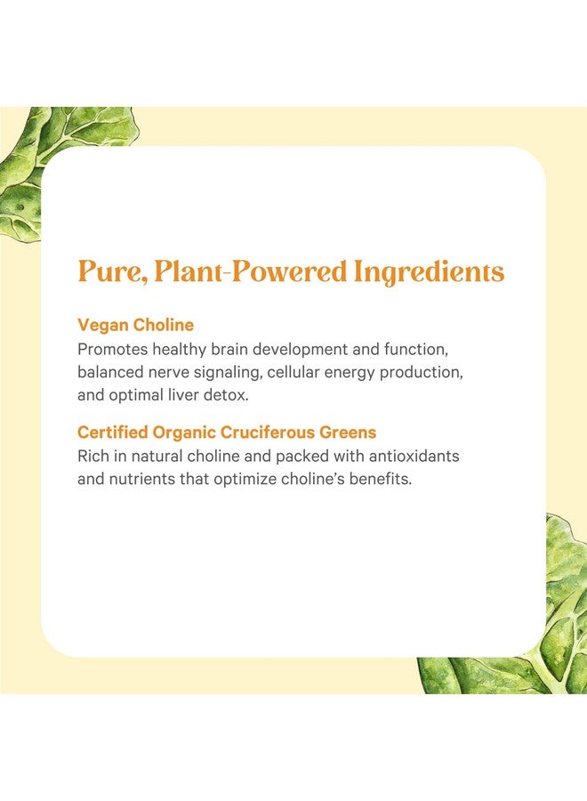 PURE SYNERGY Choline Complex | Vegan Choline Supplement Made with Organic Whole Foods | Non-GMO Bioavailable Complex | for Pregnancy, Brain, and Liver Health (60 Tablets) - Image 5