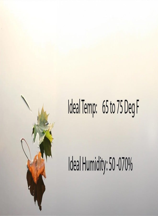 Alluring Super Veloce Adhesive 3D Volume Eyelash Extension Glue - Extra Strong Professional Lash Glue 5ml | 1 Sec Drying time | Retention - 8 Weeks | Black Adhesive for Semi-Permanent Extensions - Image 4