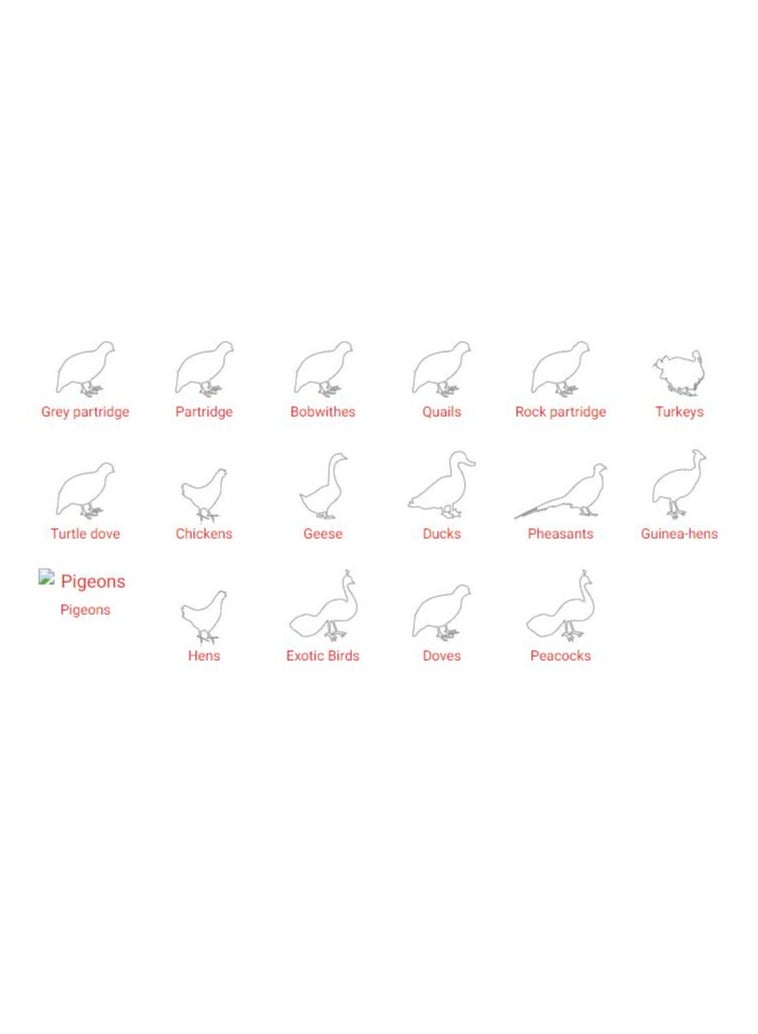 ريفر حاضنة River ET-24 رقمية أوتوماتيكية مع وحدة تحويل البيض Ovomatic، 24 بيضة، (صُنع في إيطاليا)  - Image 5