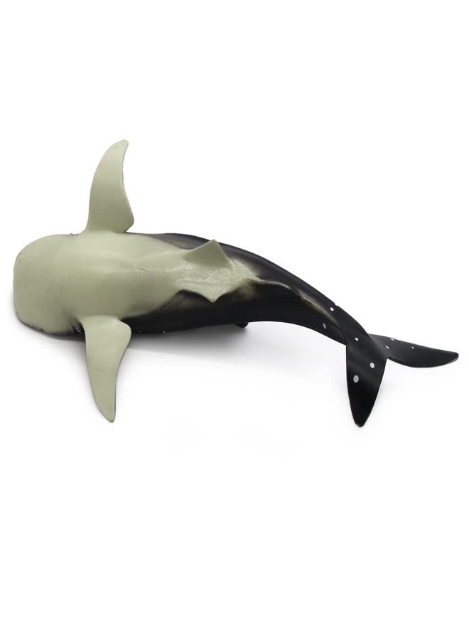 SmilerSmile Solid Sea Animals Educational Toys,Simulation Ocean Shark Sea Creature Toy for Toddlers Kids (Whale Shark) - Image 3