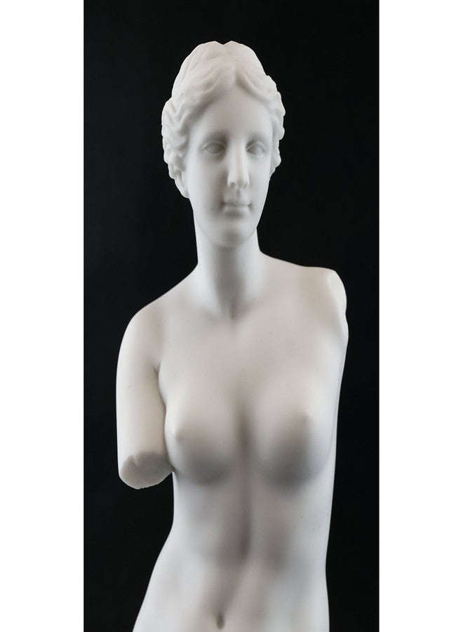 Top Collection Venus de Milo Replica Statue from The Louvre. 11-Inch Premium Cold Cast Marble. Museum-Grade Masterpiece Replica. - Image 5