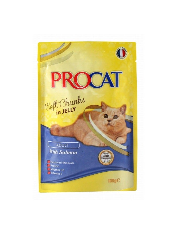 wet food with SALMON 100G