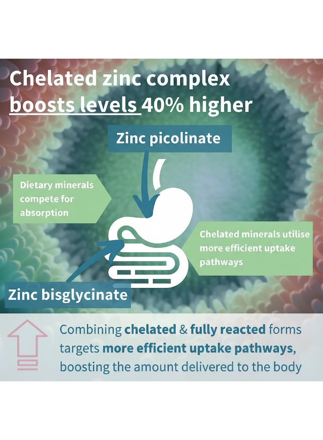 مركب بيكولينات الزنك المخلب وبيسجليسينات مع النحاس، مكمل معدني بالزنك 90 كبسولة - Image 4