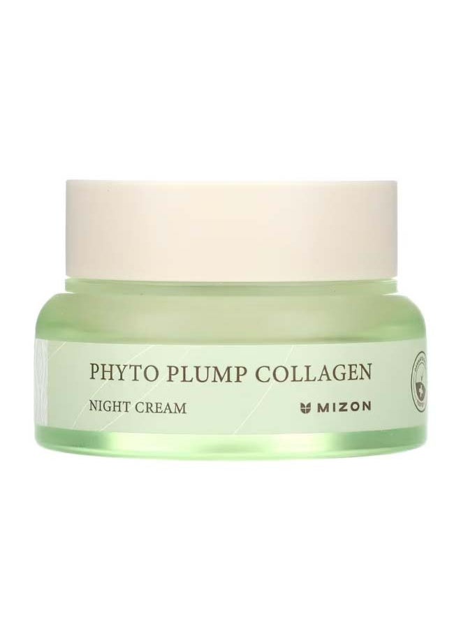 Phyto Plump Collagen Night Cream 1.69 fl oz 50 ml - pzsku/Z45293C2FE04012E711CFZ/45/_/1699899010/8b110884-dd1f-47d6-ab29-80abf01673dd