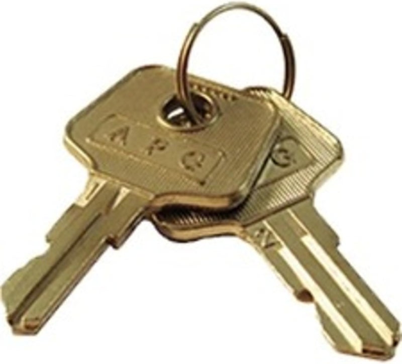Vasario Series Cash Drawer Replacement Key | Compatible with ’s Vasario Series Cash Drawers 542 Code Locks | Set of 2 Replacement Keys | VPK-8K-542