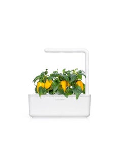 CLICK AND GROW Click  Grow Seeds Yellow Sweet Pepper  - Image 2