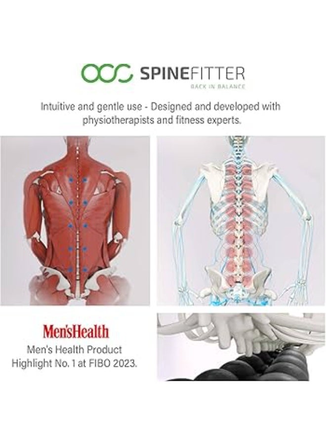 سيسيل SISSEL Spinefitter® أخضر – مدلك للظهر والتوازن، يخفف التوتر والانسدادات، مدرب للظهر لإرخاء العمود الفقري، مثالي للبيلاتس واليوغا والاستخدام المنزلي - Image 5