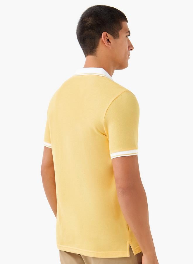 سبلاش فيڤ تيشيرت بولو مطرز - Image 3