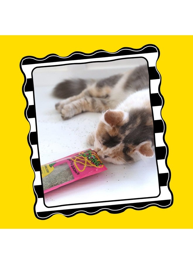 Petmate Organic Catnip - Hoots Zoom Around the Room Catnip - Grown & Harvested in USA 0.5oz pouch - Image 3