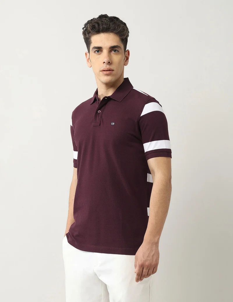 Arrow Burgundy Solid Regular Fit Dynamax Polo Shirt for Men | Best Price UAE