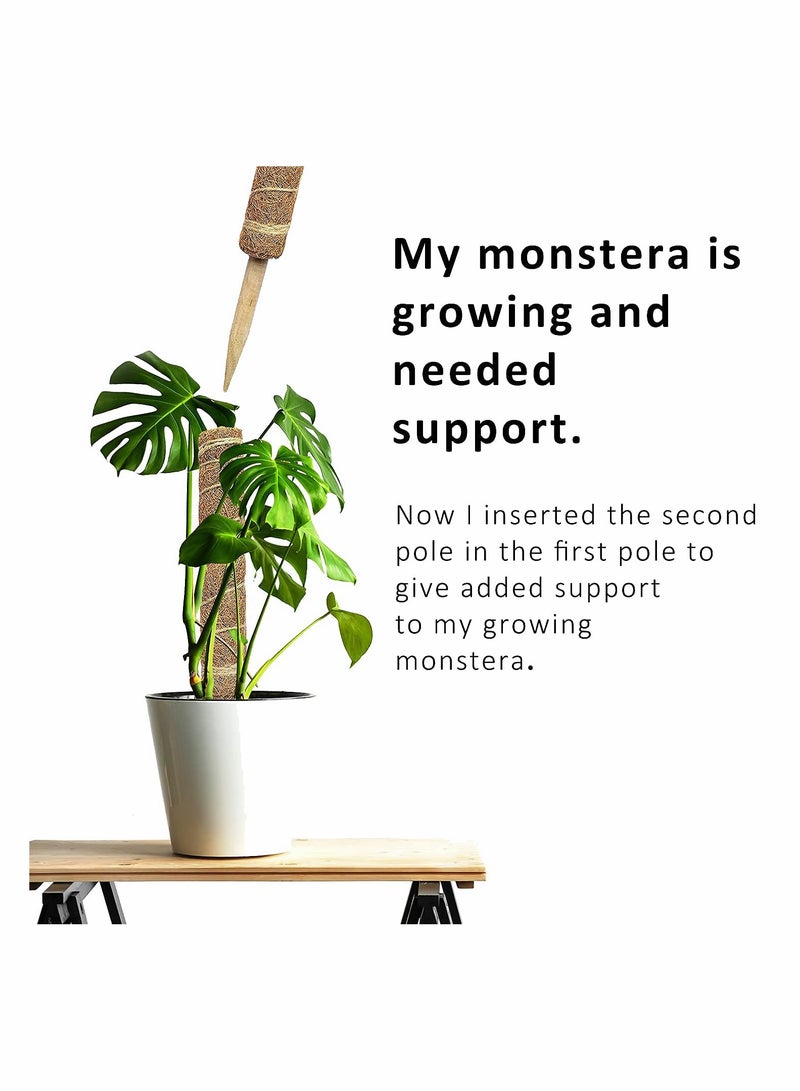 طقم أعمدة موس لنباتات مونسترا 26 بوصة و 15.4 بوصة عيدان دعم جوز الهند 2 عبوة - Image 2