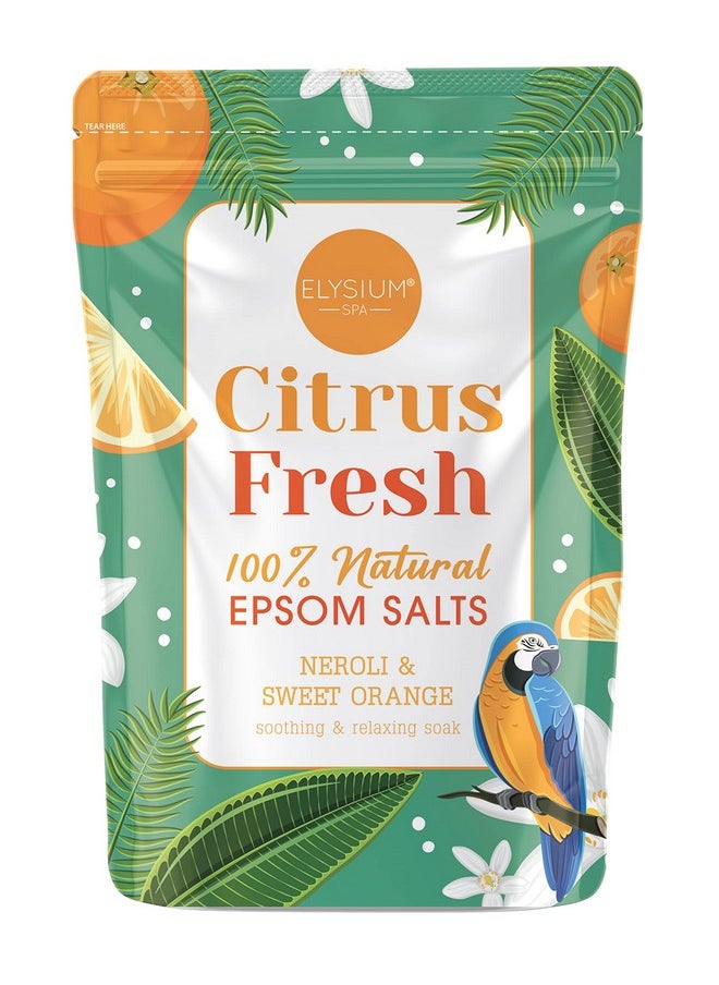 Elysium Spa Epsom Salt Neroli & Sweet Orange 450g - pzsku/Z452EC402FE72B3F72EE4Z/45/_/1738306725/9d4a8a8a-a403-4837-bb57-7a68e9f5df3a