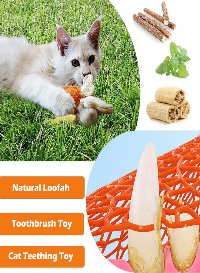 SLAUNT 3PCS Catnip Cat Chewing Toy with Natural Loofah and SilverVine for Kitten Teething Toy,Indoor Interactive Toys for Relieving Stress and Cleaning Teeth,Safe for All Small, Medium and Large Cats - Image 3
