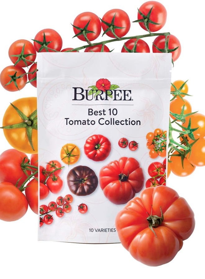Burpee Best 10 Non-GMO Planting Tomato Seeds for Garden Gifts (1 Pack) - Image 1