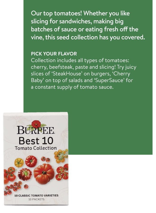 Burpee Best 10 Non-GMO Planting Tomato Seeds for Garden Gifts (1 Pack) - Image 2