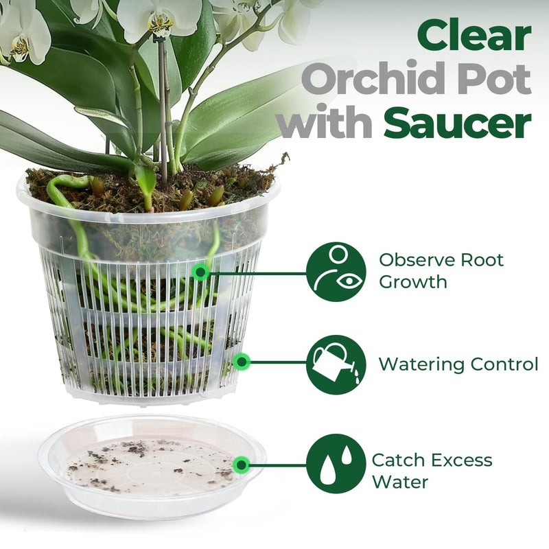 T4U Orchid Pot, 6 Pack 4.3 Inch Orchid Pots with Holes and Saucers, Clear Orchid Pots for Repotting, Plastic Flower Plant Pot for Indoor Outdoor Plants, Slotted Orchids Planter for Root Health - Image 5