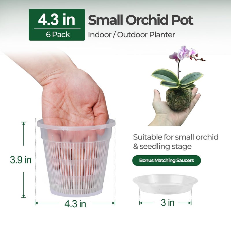 T4U Orchid Pot, 6 Pack 4.3 Inch Orchid Pots with Holes and Saucers, Clear Orchid Pots for Repotting, Plastic Flower Plant Pot for Indoor Outdoor Plants, Slotted Orchids Planter for Root Health - Image 2
