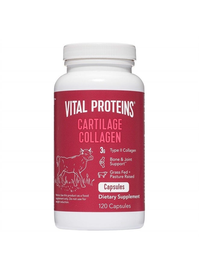 Vital Proteins Cartilage Collagen Pills, Type II Collagen & Chondroitin Sulfate Supplement for Recovery & Healthy Hair, Skin, Nails and Joints - 750 mg Serving with 120 Capsules  - Image 1