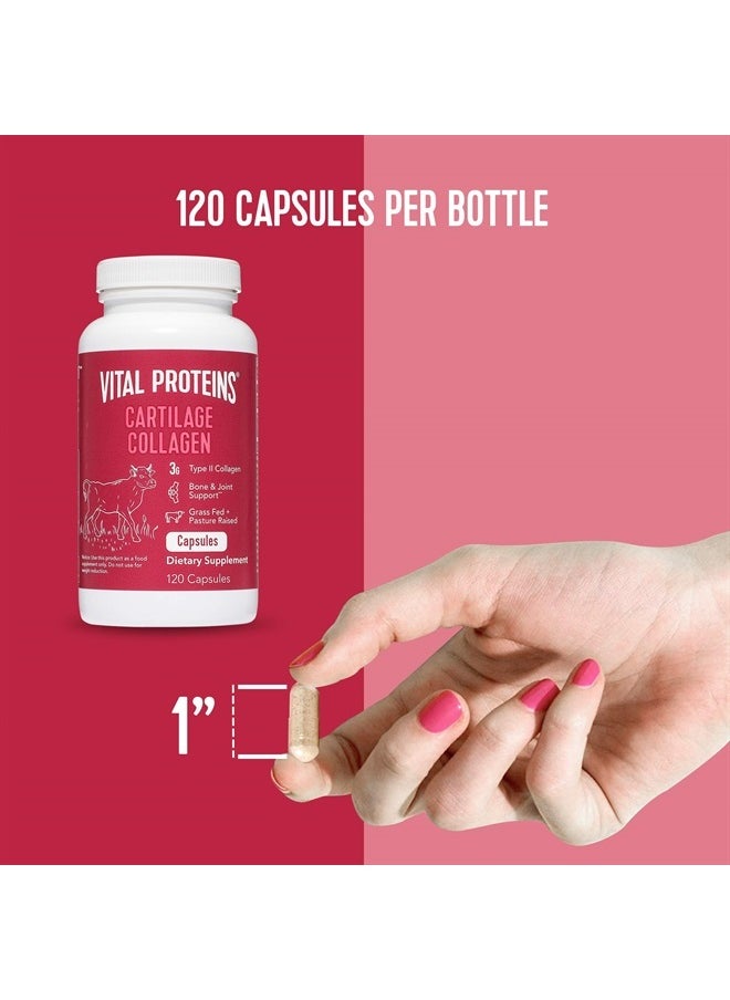 Vital Proteins Cartilage Collagen Pills, Type II Collagen & Chondroitin Sulfate Supplement for Recovery & Healthy Hair, Skin, Nails and Joints - 750 mg Serving with 120 Capsules  - Image 2
